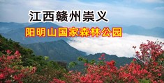 好屌插